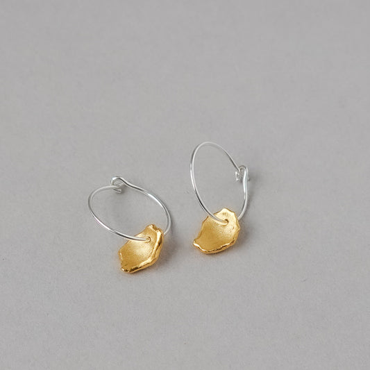 Mis-matched Pair Pod Fragment Hoop Earrings