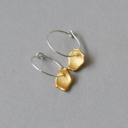 Mis-matched Pair Pod Fragment Hoop Earrings