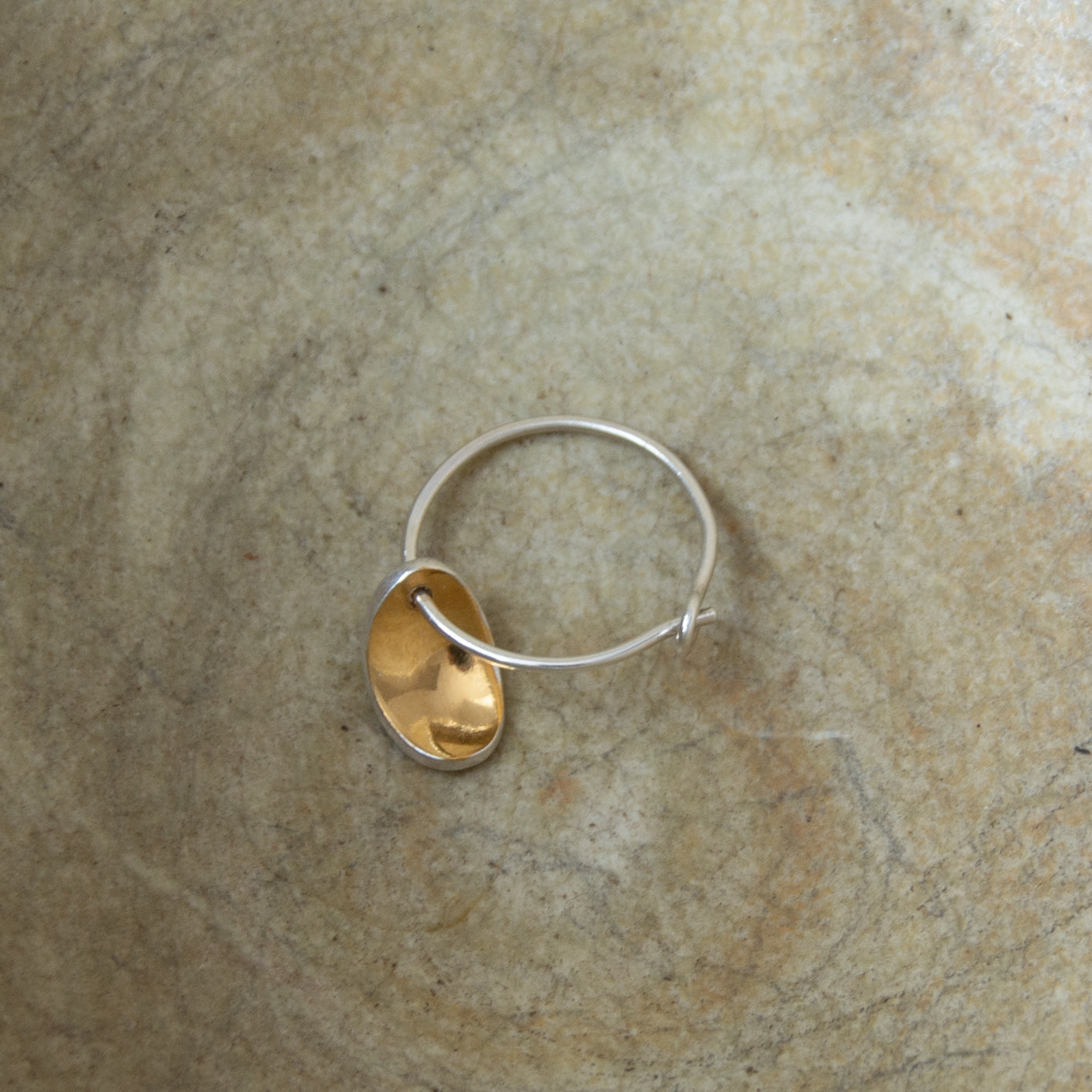 Single Hoop with Gold Lined Pod