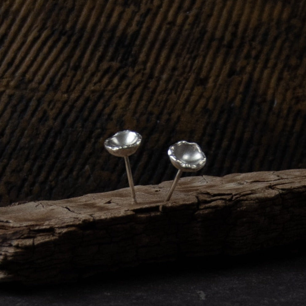 Seed Shell Studs Silver
